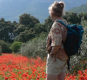 poppies in may